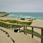 Hitchhiking in South Africa: Port Elizabeth and Knysna