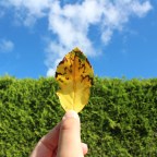 From Israel to Jordan: How good and bad people can be so close to each other.