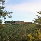 Hitchhiking in Italy: Pisa