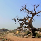 Dakar: Hostel / Decathlon / New Host