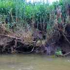 Hitchhiking in Uganda: Kampala to Kasese