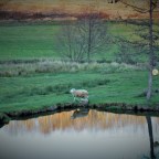 Hitchhiking in Croatia: Slavonski Brod!