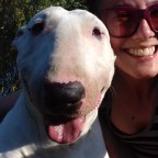 Croatia third time: what-a-hell?!