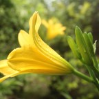 Water poisoning (again) and disappointments…