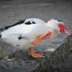 Love and water… everything under the bridge.