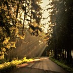 Hitchhiking in Germany: ZaunTown