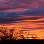 Happy New Year! (2022)