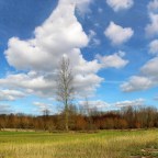 Hitchhiking in Belgium: Bruges, Lennik and Gaasbeek Castle Park
