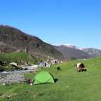 Camping in Georgia: Ushguli