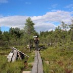 Hitchhiking in Finland: Torronsuo National Park and Forssa