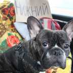 Hitchhiking in Russia