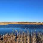 Volunteer work in Kazakhstan: Ozernoe