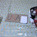 Hitchhiking in India: Rupnagar to Bir Billing