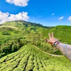 Hitchhiking in Malaysia: Cameroon Highlands