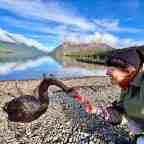 Hitchhiking in New Zealand: Reefton
