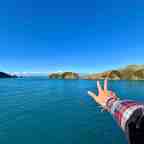 Hitchhiking in New Zealand: Picton (again) and Ferry to Wellington